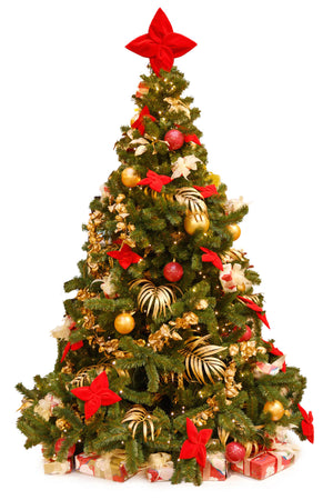 Decorated Sustainable Christmas Tree in pot - London Christmas Tree Rental